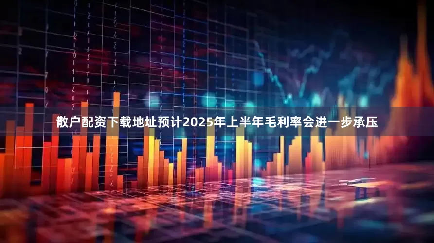 散户配资下载地址预计2025年上半年毛利率会进一步承压